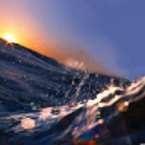 Meet your Posher, Hayden